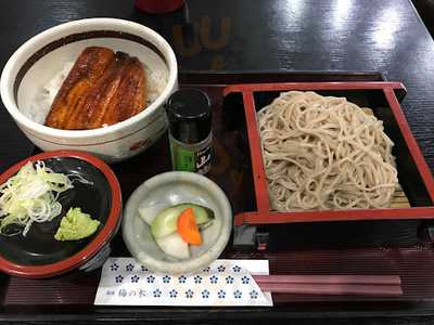 梅の木　若葉台店