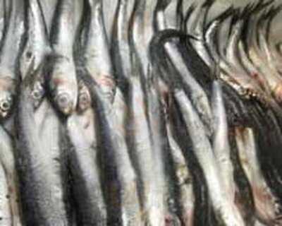 アジアン屋台バル クアトロ