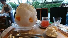 木と水と土と 表参道店