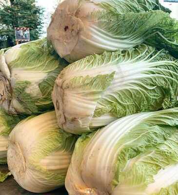 もつ焼のんき 天神橋店