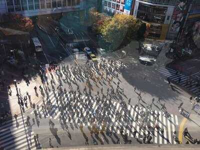 シブヤパーラー