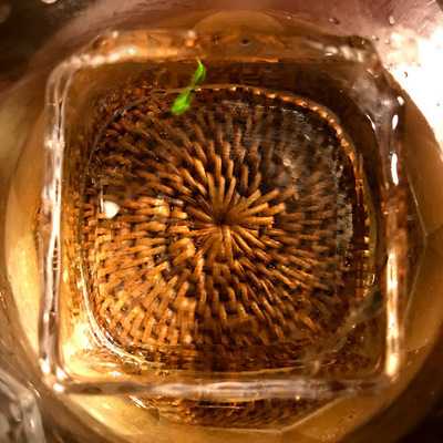 バッフィ バルバ