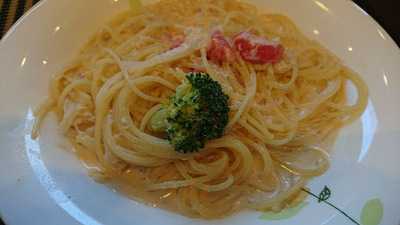 クッチーナ Gakki