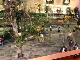 エール エル ワッフルカフェ グランルーフ店(東京駅八重洲口)