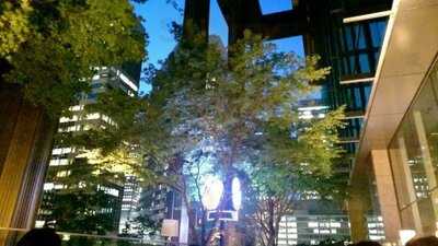 東京ビアホール&ビアテラス14