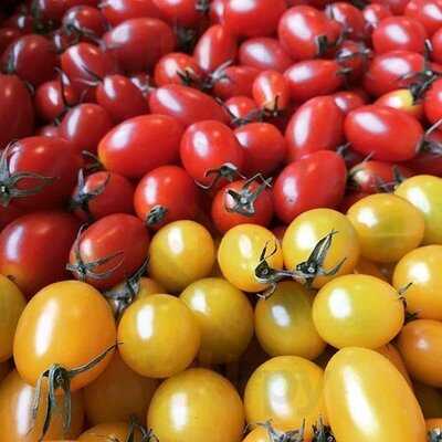 マスカレード 北堀江