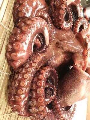 Ristorante Terasakiリストランテ寺崎