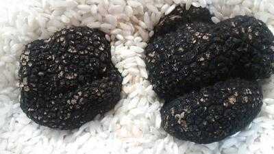 Ristorante Terasakiリストランテ寺崎