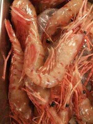 Ristorante Terasakiリストランテ寺崎