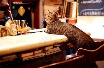 キッチン＆バー モリス