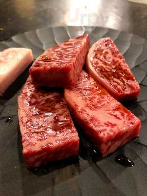 焼肉居酒家 韓の台所