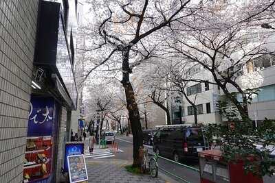 ゆで太郎 九段南店