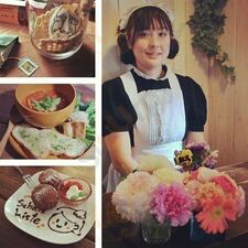 シャッツキステ