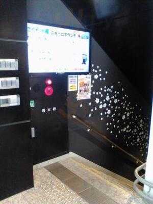 海産物居酒屋 さくら水産 原宿竹下口店