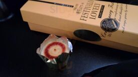 フェスティバロ東京