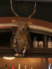 Under Deer Lounge