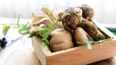 アイビーホール フィリア