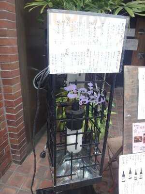 さつまおごじょ