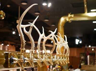 Schmatz 渋谷神南