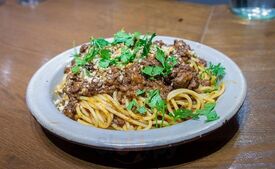 ニュービバーク