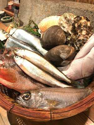 魚の居酒屋 今日も大漁や