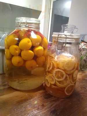 Shelter Kuko Cafe & Gallery