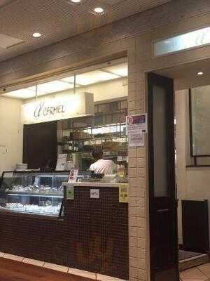 ハウスティ アルファカーメル 