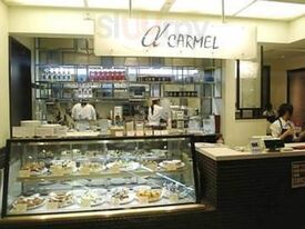 ハウスティ アルファカーメル 