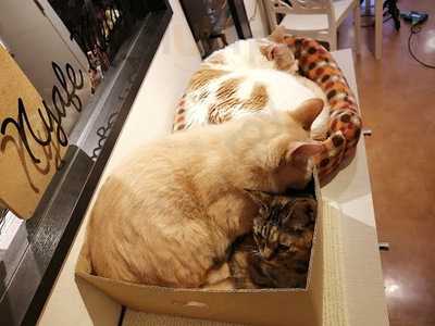 村さ来 恵比寿東口店