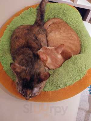 村さ来 恵比寿東口店