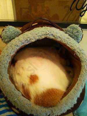 村さ来 恵比寿東口店