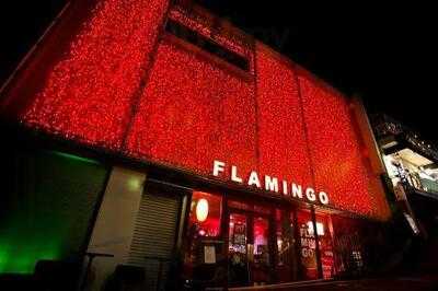Flamingo