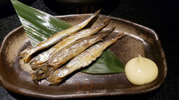 くいもの屋 わん 渋谷文化村通り店