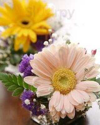 インドレストラン ビジー ビー