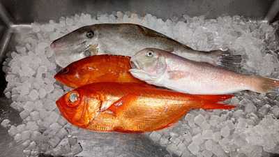 居酒屋 佐藤 恵比寿