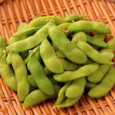 酔っ手羽 ハイボール居酒屋 水道橋店