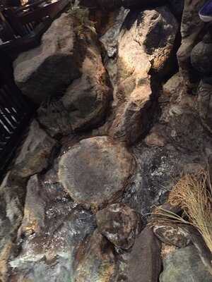 水の和座 山葵 御茶ノ水店