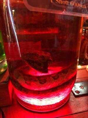 渋谷 ダイニングカフェ バー Takenotsuka