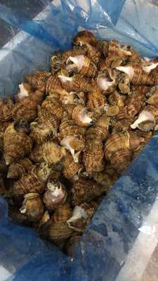 博多料理 稲香屋 神田店