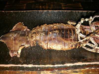 日本酒 はなたれ