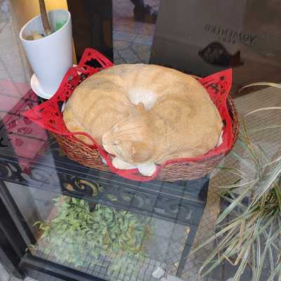 西洋菓子 周五郎