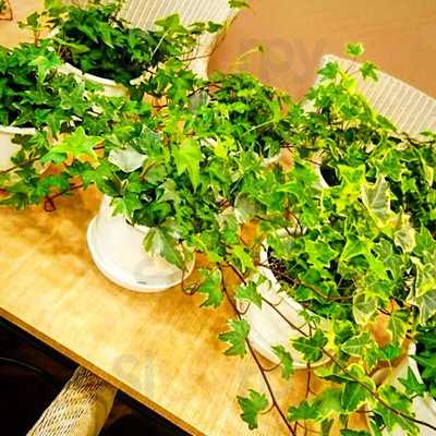 365cafe 西武渋谷店