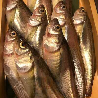 山形蕎麦茶寮 月の山