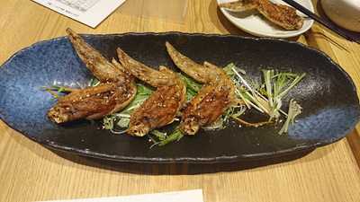 ひない小町 恵比寿店