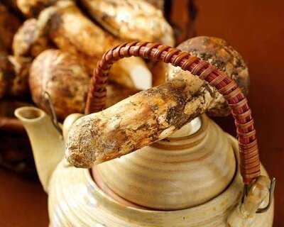 旬味酒菜 季節会席 なまこ屋