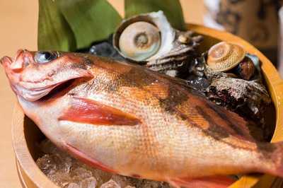 沖縄居酒屋 ちゅらり 原宿店