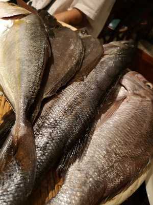 イタリアン 淡路島の恵み ピッツェリア ドーニ