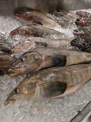 北の家族 有楽町本店