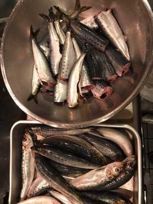 のみ食い処 わいわい