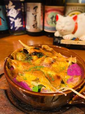 琉球どさんこ しぶ猫